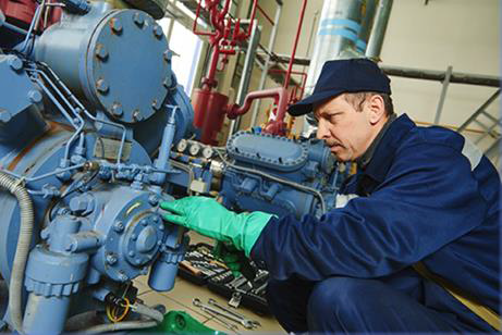 Generator Excitation Systems & AVR: Selection, Commissioning, Operation, Maintenance, Testing & Troubleshooting