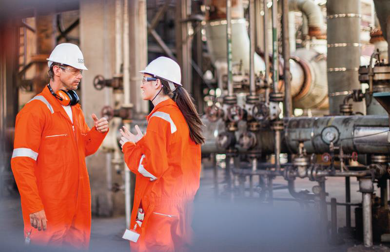 Professional Process Safety Inspector (PPSI): Module 4: Process Safety Auditing &amp; Site Inspection