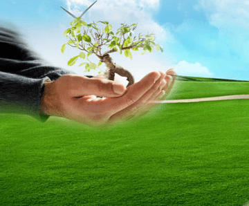 Certificate in Environmental Management