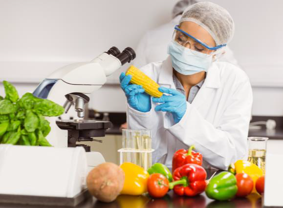 Practical Sampling Techniques for Food Supply Chain