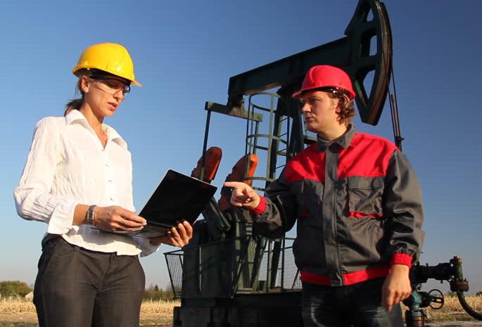 IPM (Integrated Production Modelling)