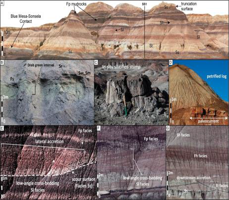 MICP & Deterministic Rock Typing