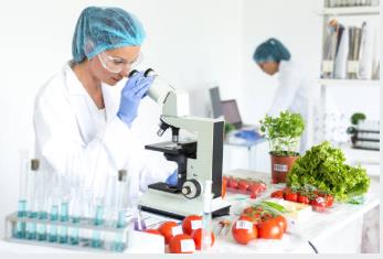 BTSF - Food Hygiene &amp; Controls