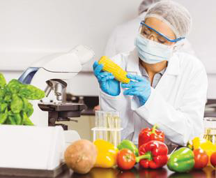 ISO 22000: 2018 Food Safety Management (FSMS)