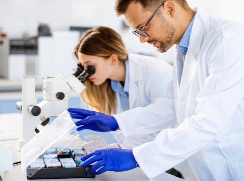Laboratory Analysis of the Chemical & Physical Properties of Water