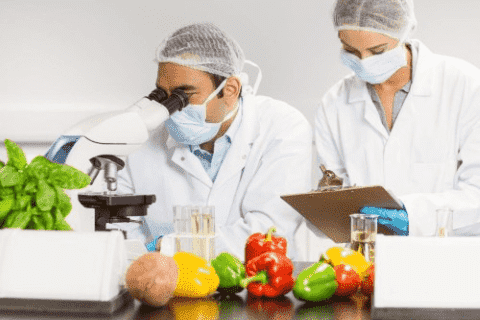 The Foundation and the Principles of Food Safety &amp; Management System ISO 22000