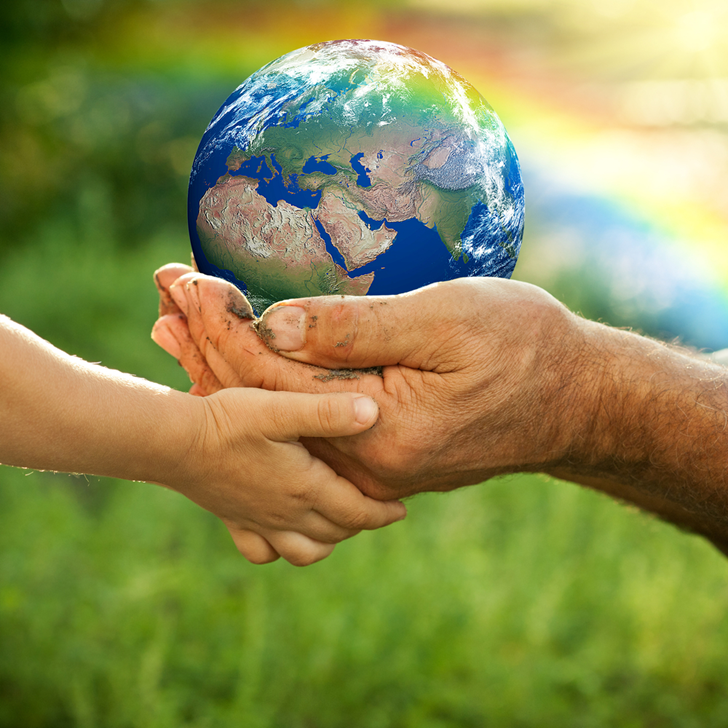 Environmental Sustainability
