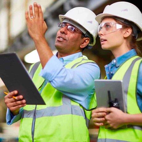 Advanced Project Economics, Risk & Decision Analysis