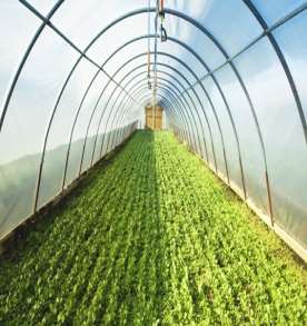 Greenhouse Gas (GHG) Calculation & Reporting