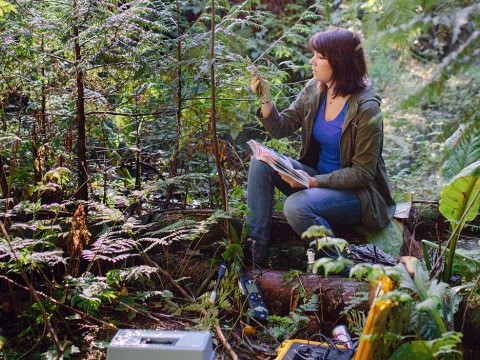 Certified Environmental Manager (Accredited by the UK Chartered Institute of Environmental Health-CIEH)